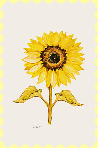 Golden Sunflower Bloom Art déco reproduction
