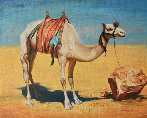Tethered Desert Camel Art Print by Hongtao Huang
