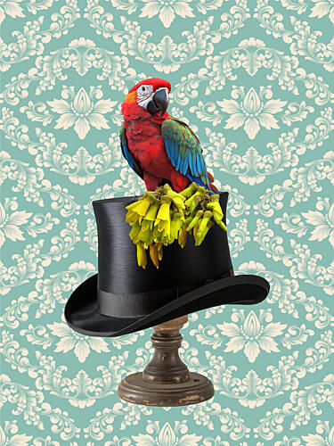The Gentlemans PerchMacaw Art déco reproduction