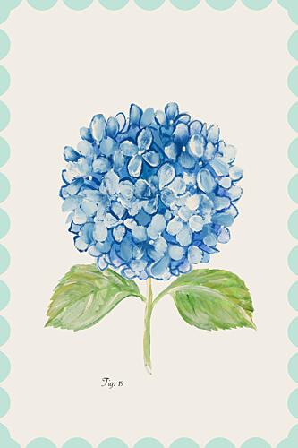 Blue Hydrangea Illustration Art déco reproduction