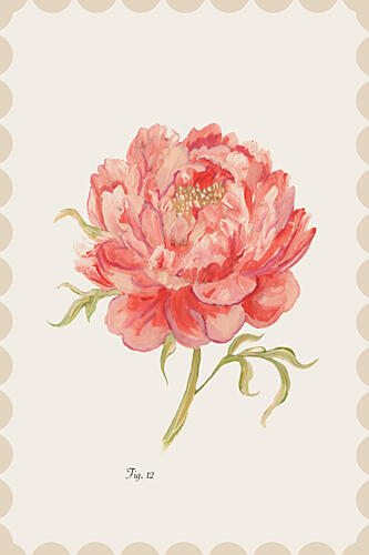 Vintage Pink Peony Art déco reproduction