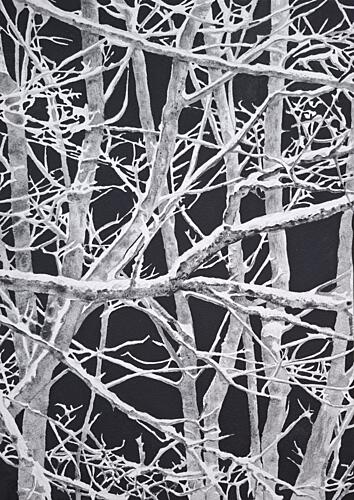 Snowy Winter Branches Art Print