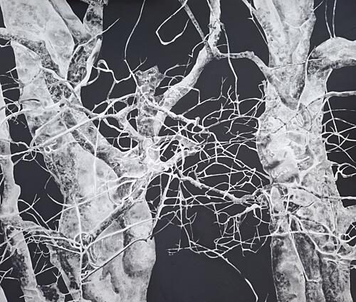 Bare Winter Branches Art Print