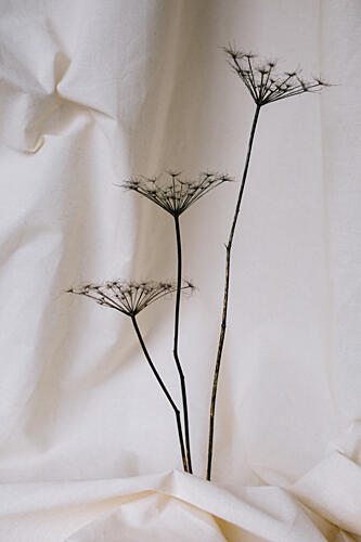 Soft Dried Botanicals Art déco reproduction