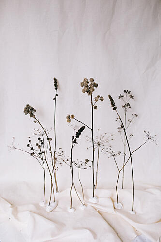 Minimalist Dried Botanicals Art déco reproduction