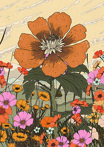 Vibrant Wildflower Bloom Art Print