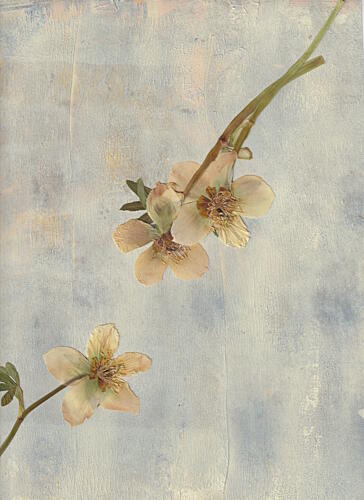 Pale Blue Botanicals Art déco reproduction
