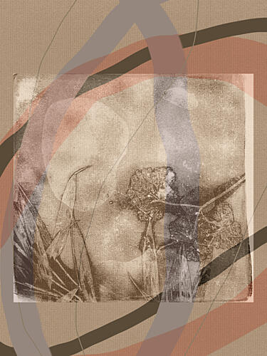 Sepia Dandelion Dream Art déco reproduction