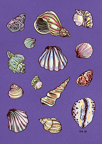 Colorful Seashell Collection Art déco reproduction