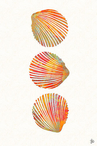 Vibrant Seashells Art déco reproduction