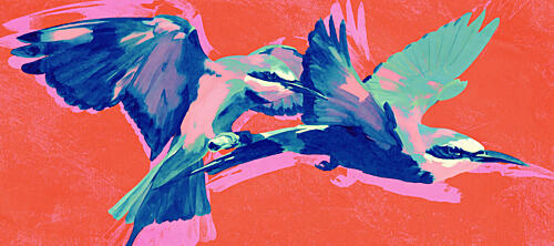 Vibrant Birds in Flight Art Print