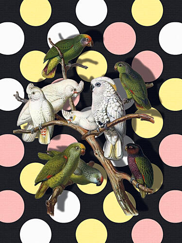 Polka Dot Parrots Art déco reproduction