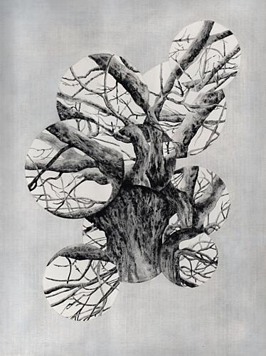 Overlapping Tree Circles Art Print