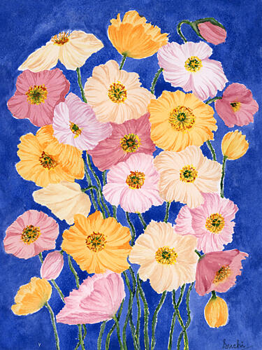 Vibrant Poppy Blooms Pop art reproduction