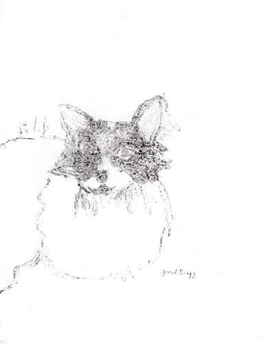 Fluffy Cat Sketch Art Print