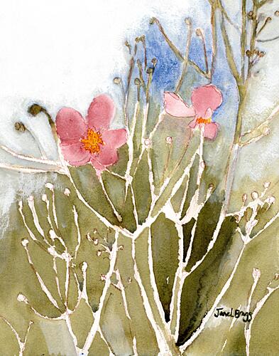 Soft Pink Blooms Art Print