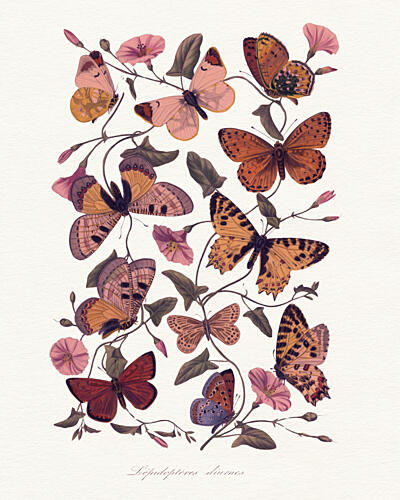 Vintage Butterflies Morning Glories Art déco reproduction