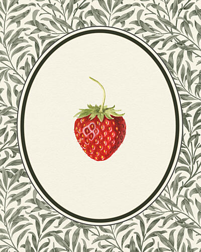 Vintage Strawberry Botanical Art déco reproduction