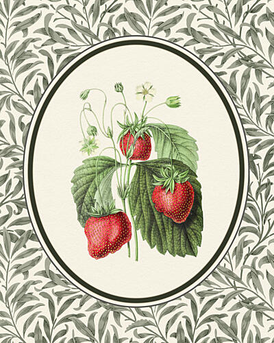 Vintage Strawberry Botanical Art déco reproduction