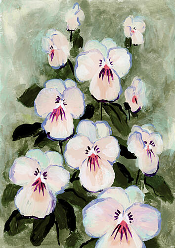 White Pansy Garden Art Print