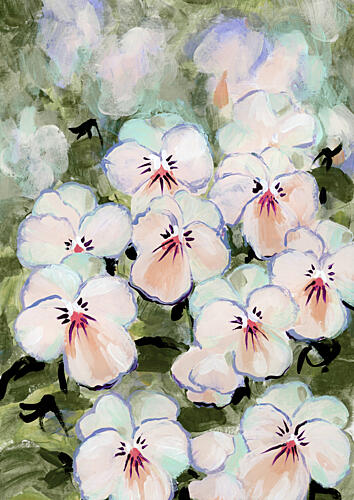 Delicate White Pansies Art Print