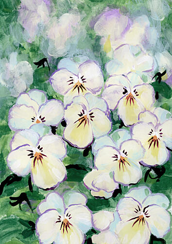 Delicate Pansy Blooms Art Print