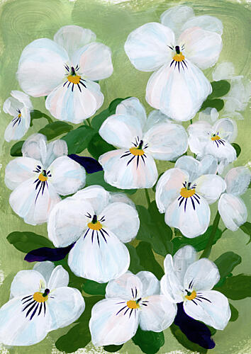Blooming White Pansies Art déco reproduction