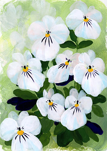Delicate White Pansies Art Print