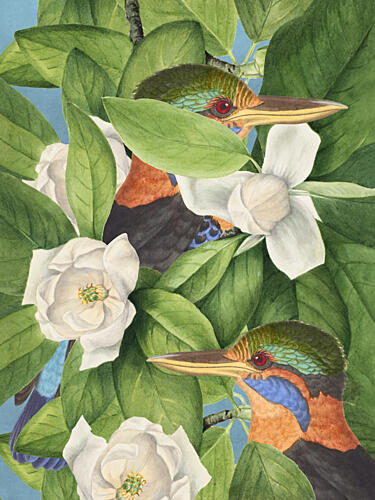 Tropical Kingfishers Magnolias Art Print