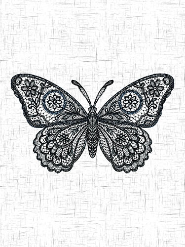 Elegant Lace Butterfly Art Print