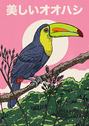 Vibrant Tropical Toucan Art Print