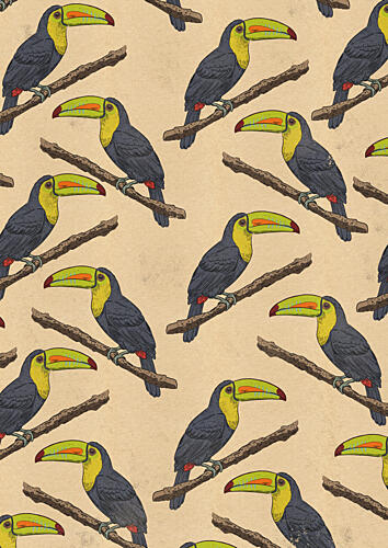 Tropical Toucan Pattern Art Print