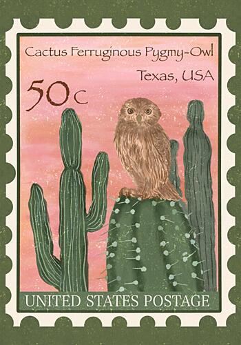 Cactus Pygmy Owl Art Print by Aliya Putrus