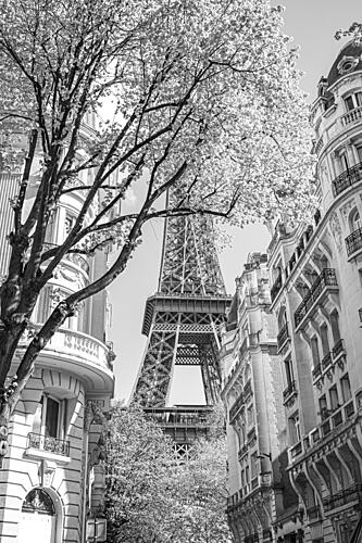 Parisian Street Eiffel Tower Art Print