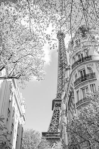 Eiffel Tower Paris Scene Art Print
