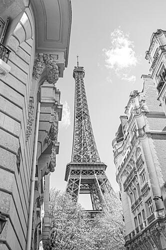Eiffel Tower Paris View Art Print