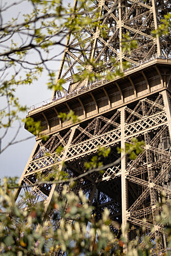 Eiffel Tower Through Spring Leaves Art Print