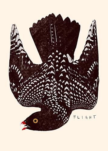 Speckled Bird Flight Art Print