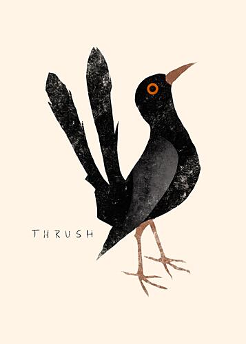 Elegant Black Thrush Art Print