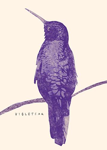 Elegant Violet Hummingbird Art Print by Josephin Hermsdorf