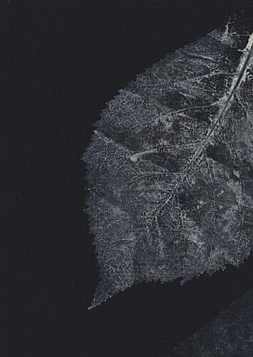 Dark Leaf Veins Art Print by Maira Ribena