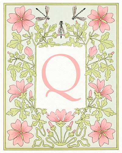 Botanical Letter Q Art Print by Wild Violets