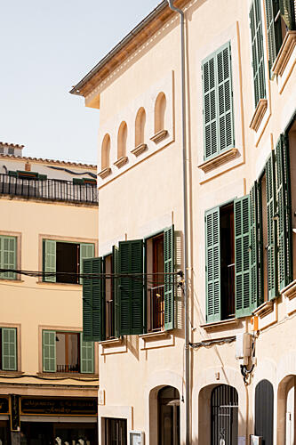 Sunlit Green Shutters Art Print by Henrike Schenk