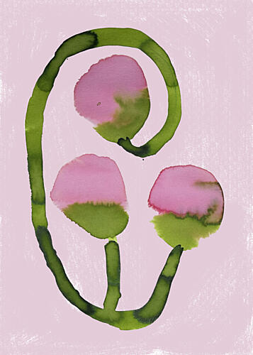 Abstract Pink Blooms Art Print by Carola Cedell