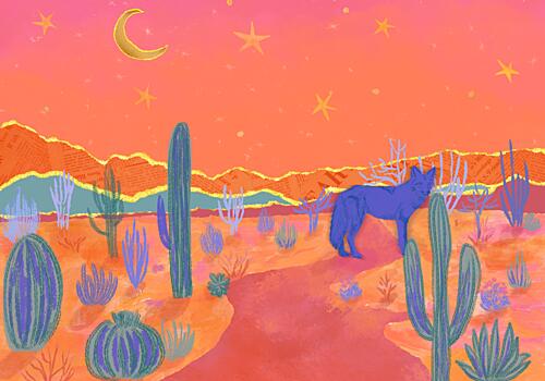 Coyote under Desert Moon Art Print by Aliya Putrus