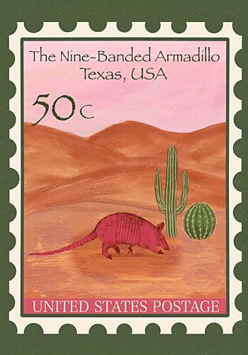 Texas Desert Armadillo Art Print by Aliya Putrus
