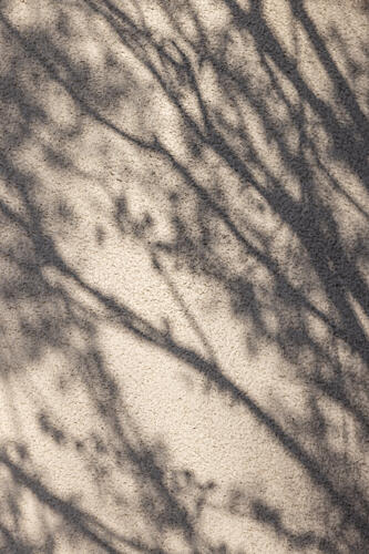 Abstract Tree Shadows Art Print