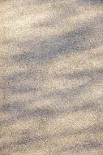 Sunlight Shadow Play Art Print