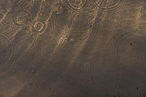 Shimmering Water Circles Art Print