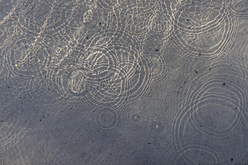 Sunlit Water Patterns Art Print